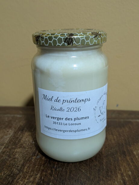 Pot de miel de printemps