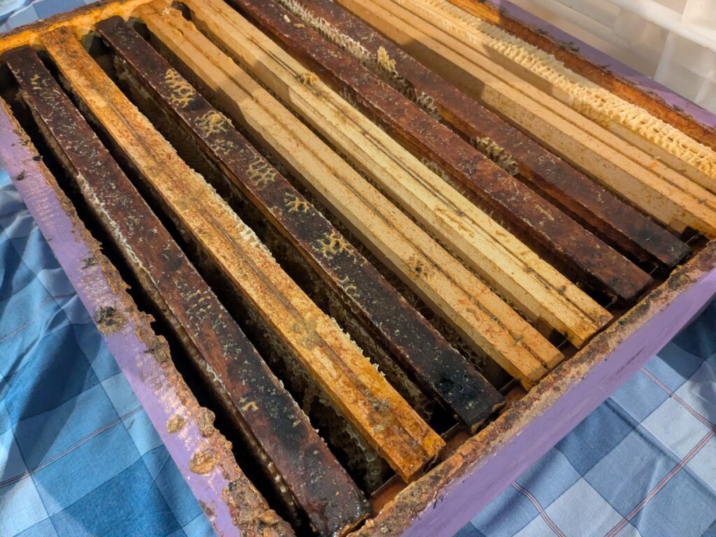 Hausse après extraction du miel